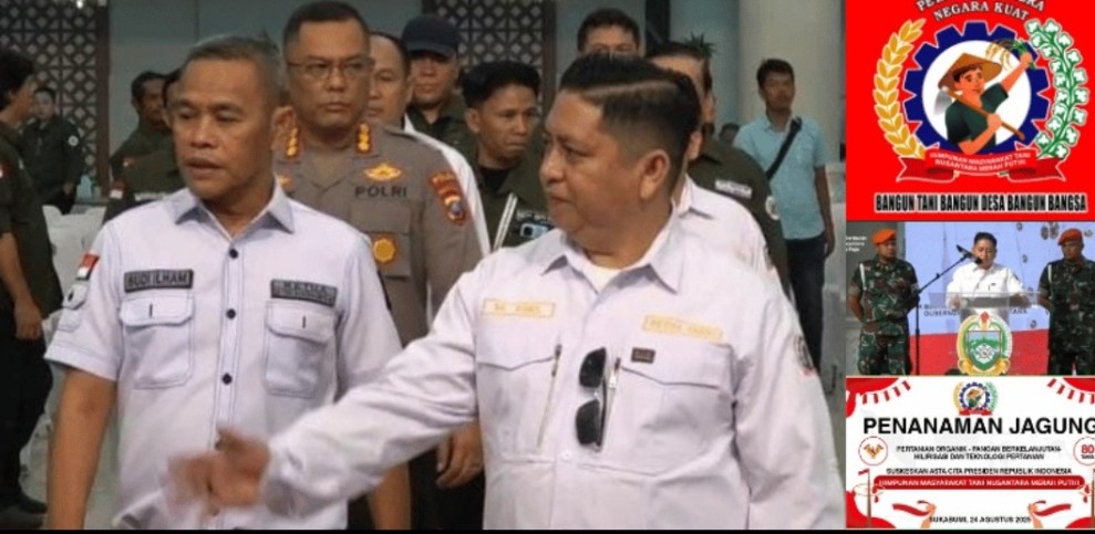 Hari Ini HMTN-MP Gelar Penanaman Perdana Jagung Hybrida di Sukabumi