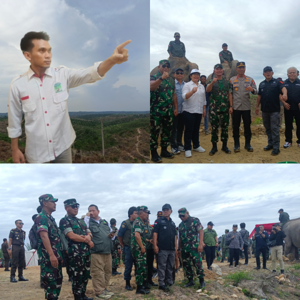 PT. PSJ Diduga Tadah TBS Ilegal TNTN, KAMMI Tuntut Penegakan Hukum